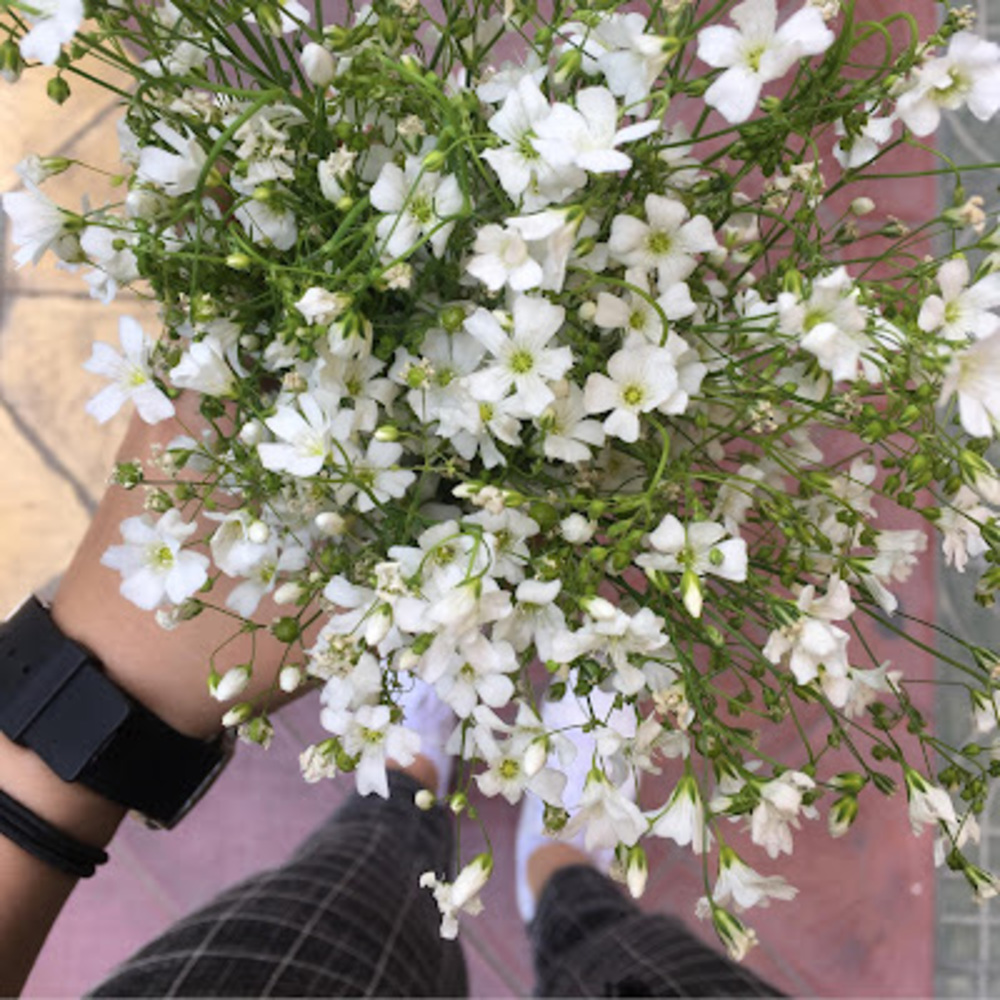 Meet your Posher, Ann